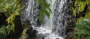 Wandern in Madeira